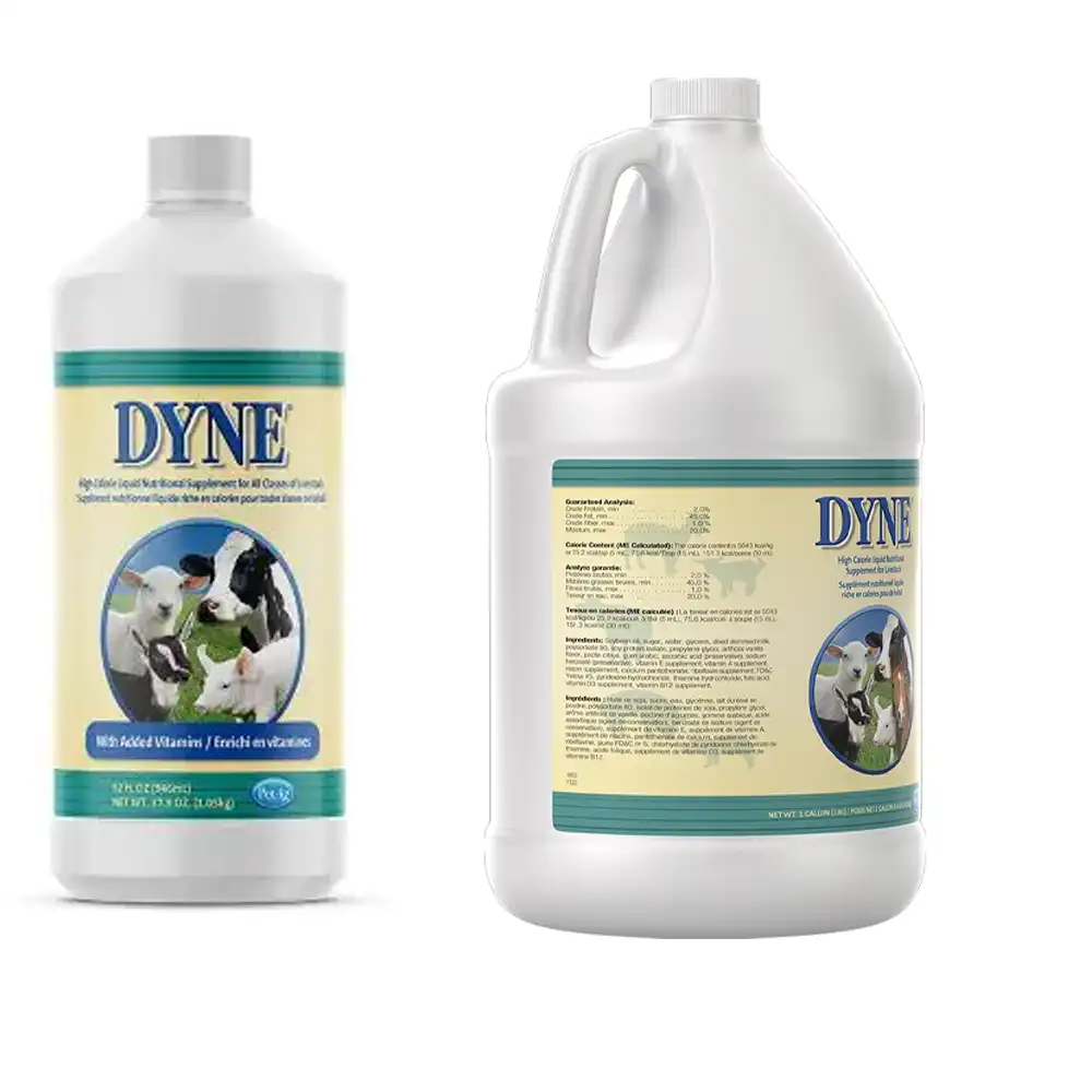 dyne gallon and quart