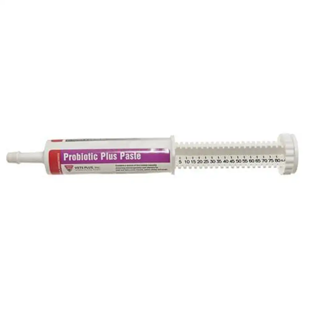 probiotic plus paste