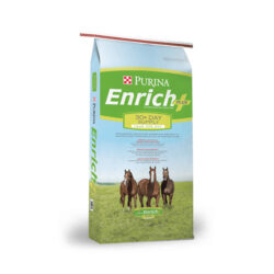 ENRICH PLUS RATION BALANCING HORSE FEED - PURINA