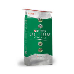 ULTIUM GROWTH FORMULA - PURINA