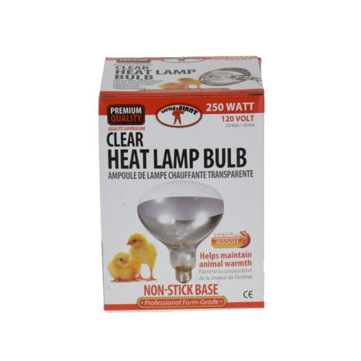 Little Giant Clear Bulb For Brooder Lamp