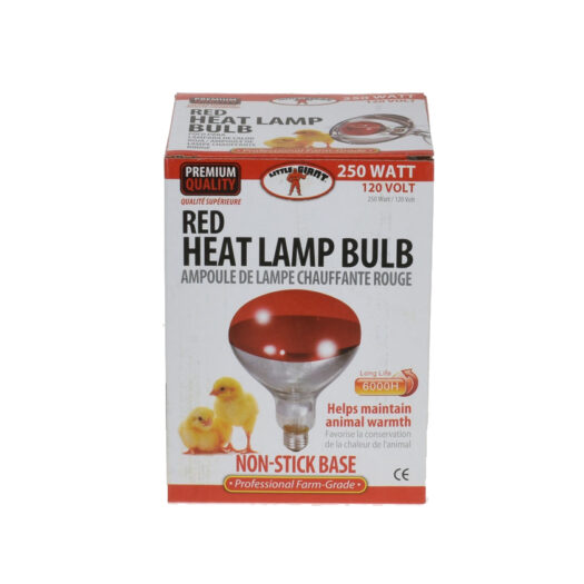 Little Giant Red Bulb For Brooder Lamp