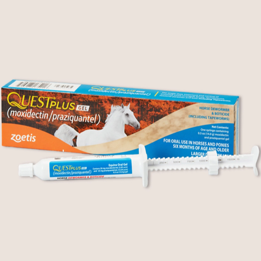 quest plus gel