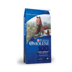 PURINA OMOLENE #100 ACTIVE PLEASURE HORSE FEED