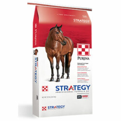 STRATEGY PROFESSIONAL FORMULA GX HORSE FEED - PURINA