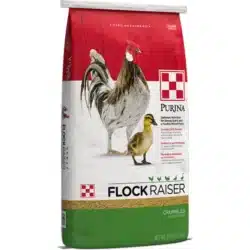 purina flock raiser crumbles