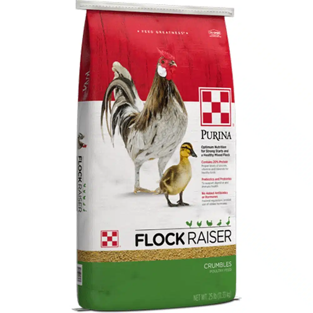 purina flock raiser crumbles