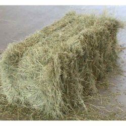 ALFALFA HAY BALE