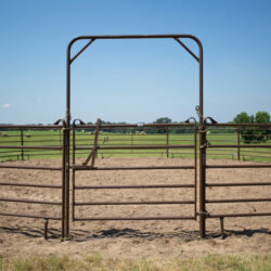 PRIEFERT UTILITY 6' BOW GATE- BROWN