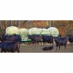 S. I. FEEDER WAGON - NO INSERT