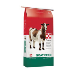 GOAT CHOW