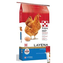 OYSTER STRONG LAYENA PELLETS