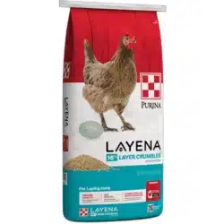 purina layena crumbles