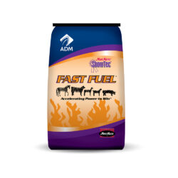 FAST FUEL - MOORMAN'S SHOWTEC