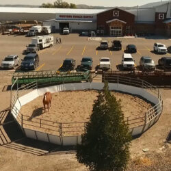 SHEETED ANGLED ROUND PEN PANEL (Sold Individually) * 10 FEET - 2W