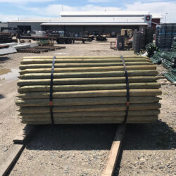 TREATED POINTED DRIVE POST
