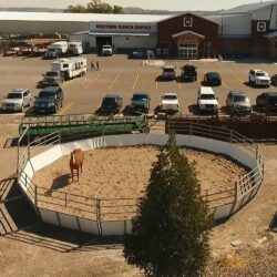 2W 50' X 6' SHEETED ROUND PEN (KIT)