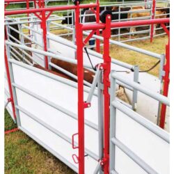 DOUBLE ALLEY 10' CENTER PANEL - 2W