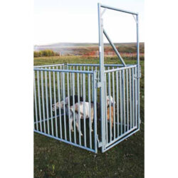 SHEEP / HOG 5'X40" BOW GATE