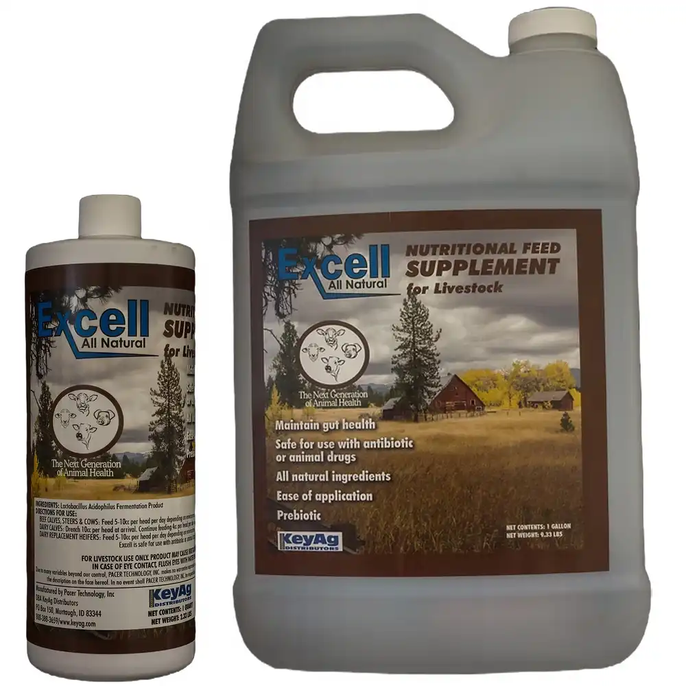 EXCELL ALL NATURAL LIQUID SUPPLEMENT