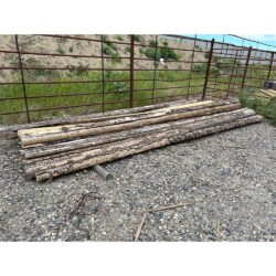 Split rail non-treated fence.