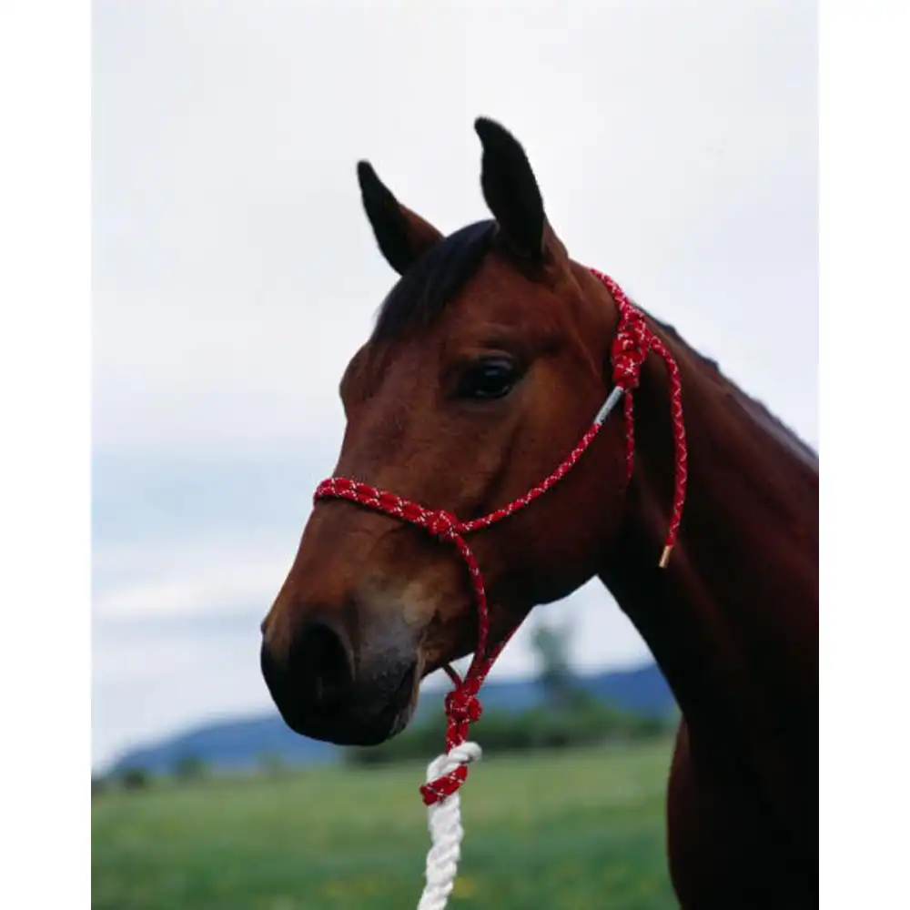 hand tied halter