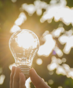 Light Bulbs