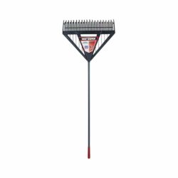 DUAL TINE LEAF RAKE