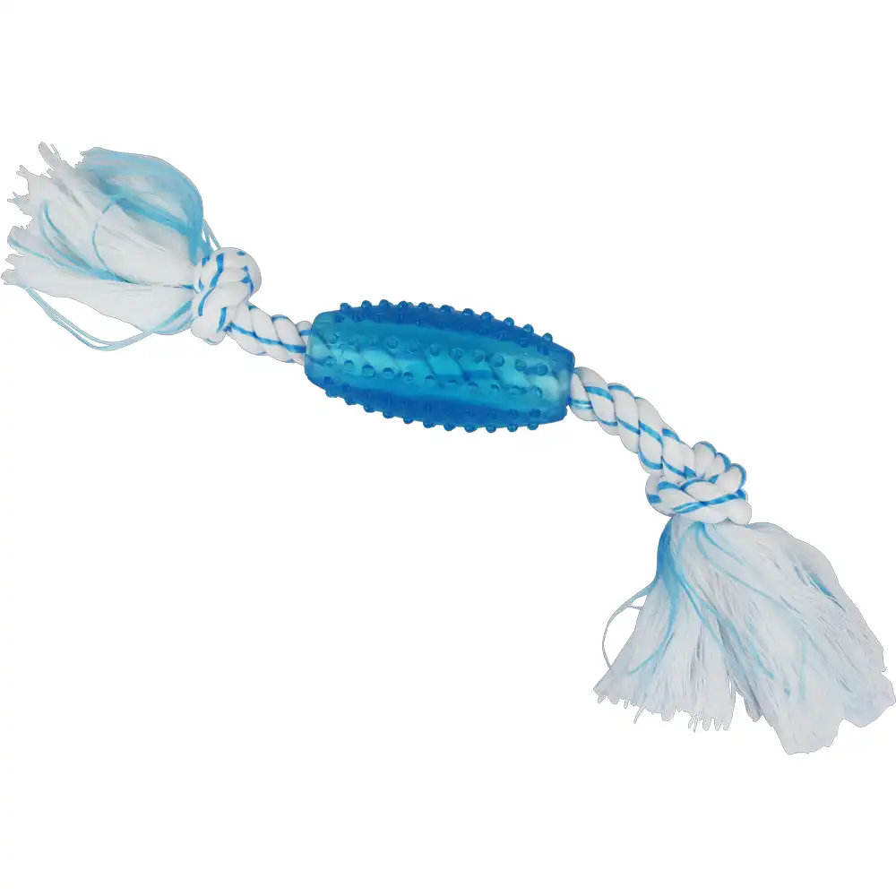 peppermint dental toy