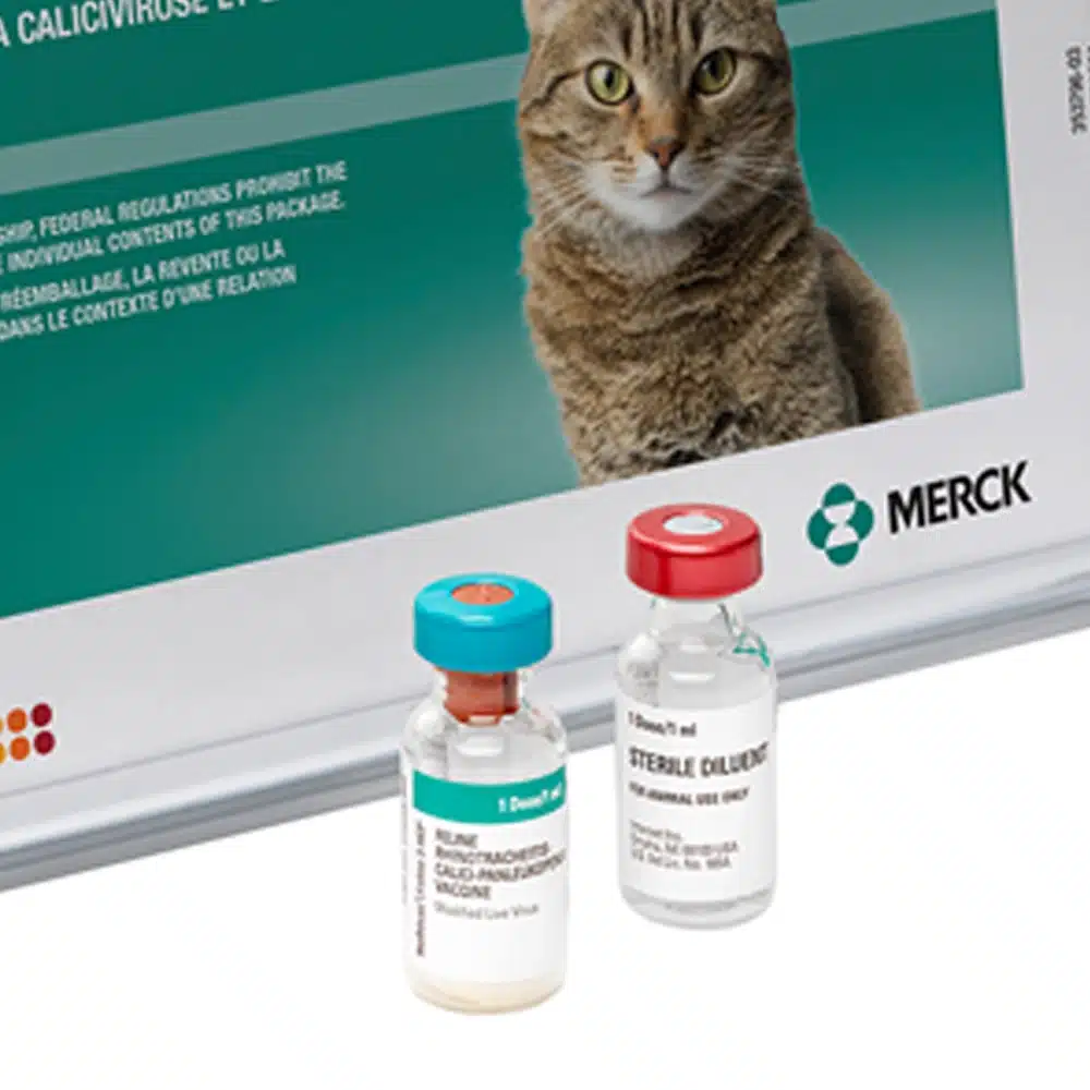 nobivac feline3 hcp
