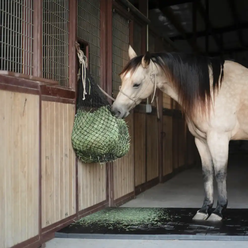 half bale net