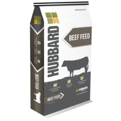 Hubbard beef feed bag