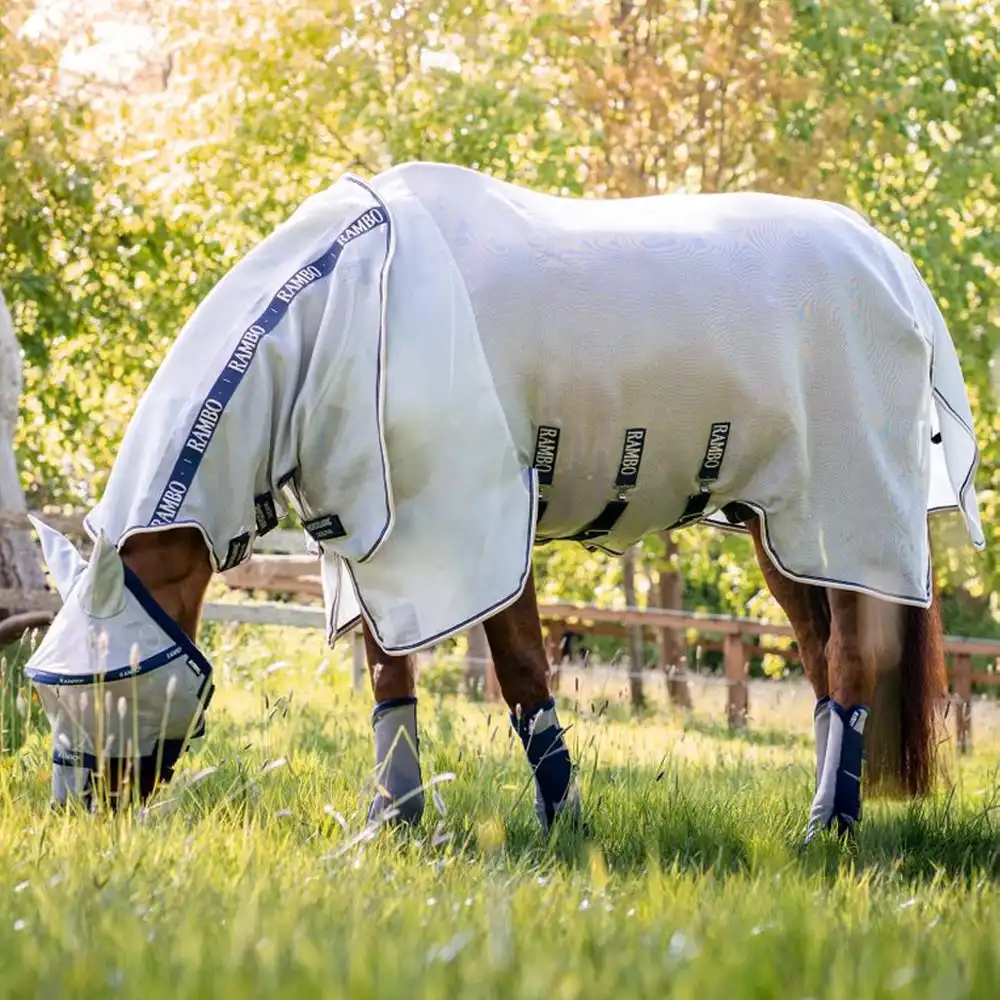 horseware rambo protector plus fly sheet