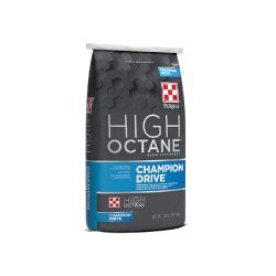 High Octane Champion Drive Feed.