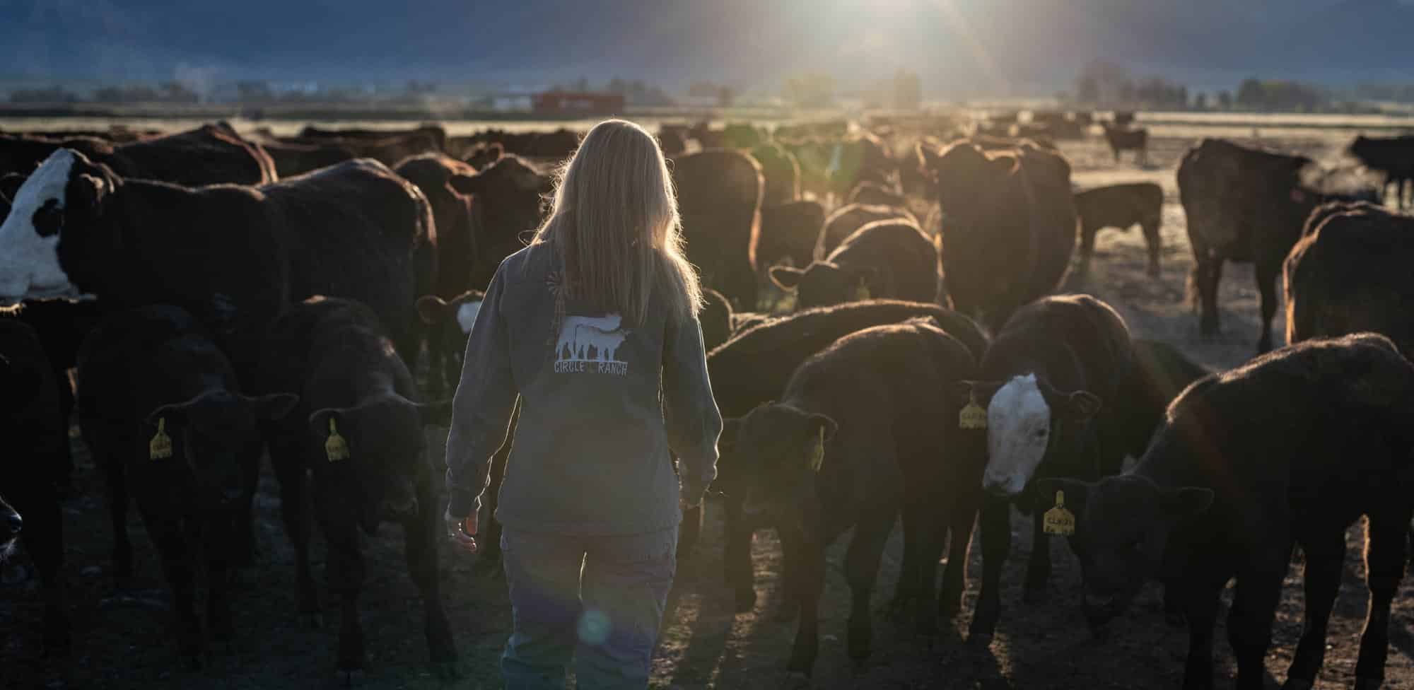 2024 beef month giveaway sponsor. blond woman walking through a herd of cattle