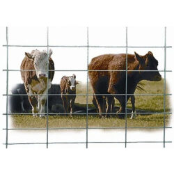 HW Brand 16' Wire Cattle Panels