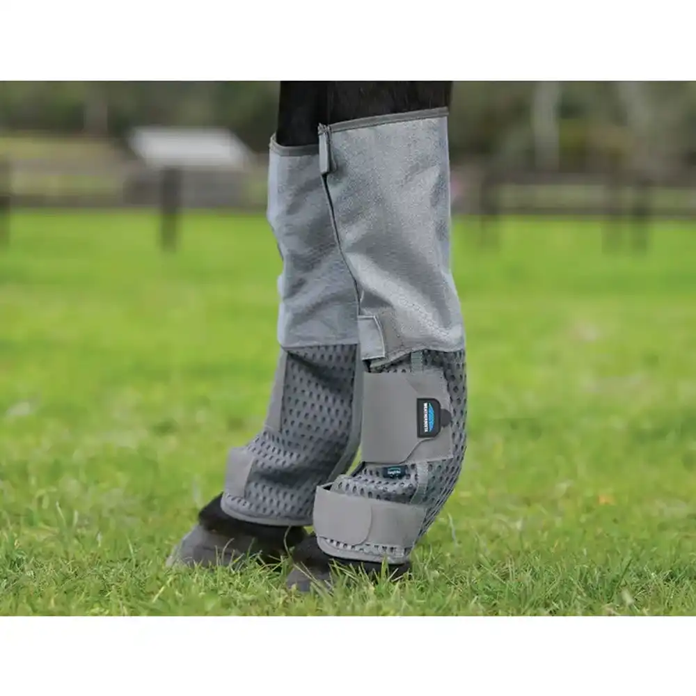 comfitec Hexi shield fly wrap boots