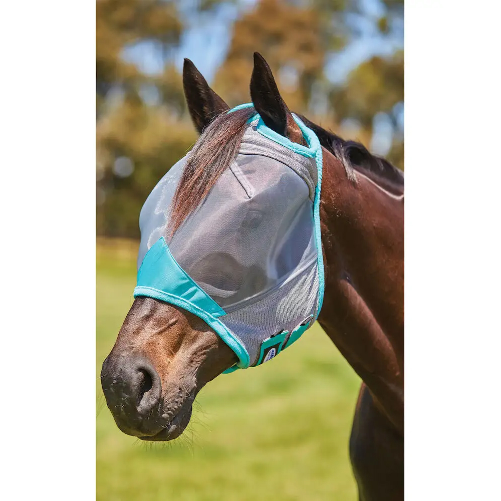 weatherbeetahorsemask
