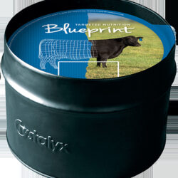 Blueprint® 20 AN with Bio-Mos® 2