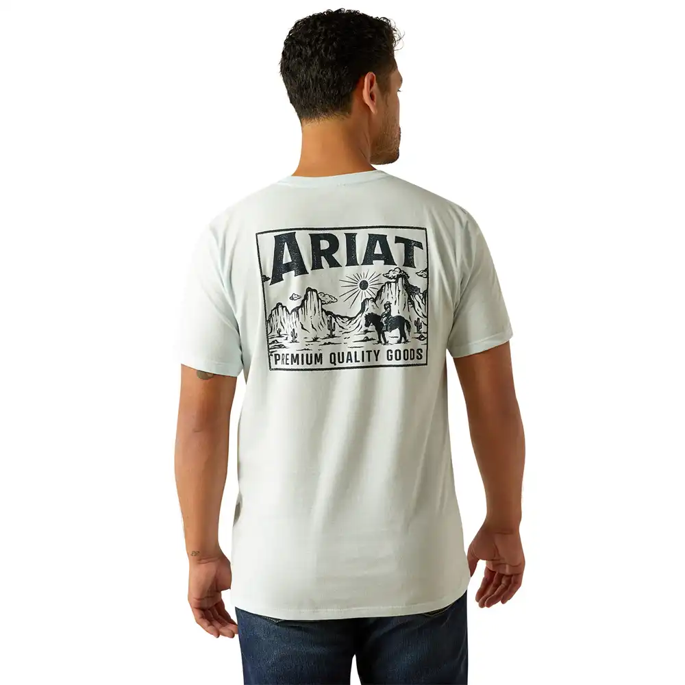 ariat men's graphic tee shirt grey
