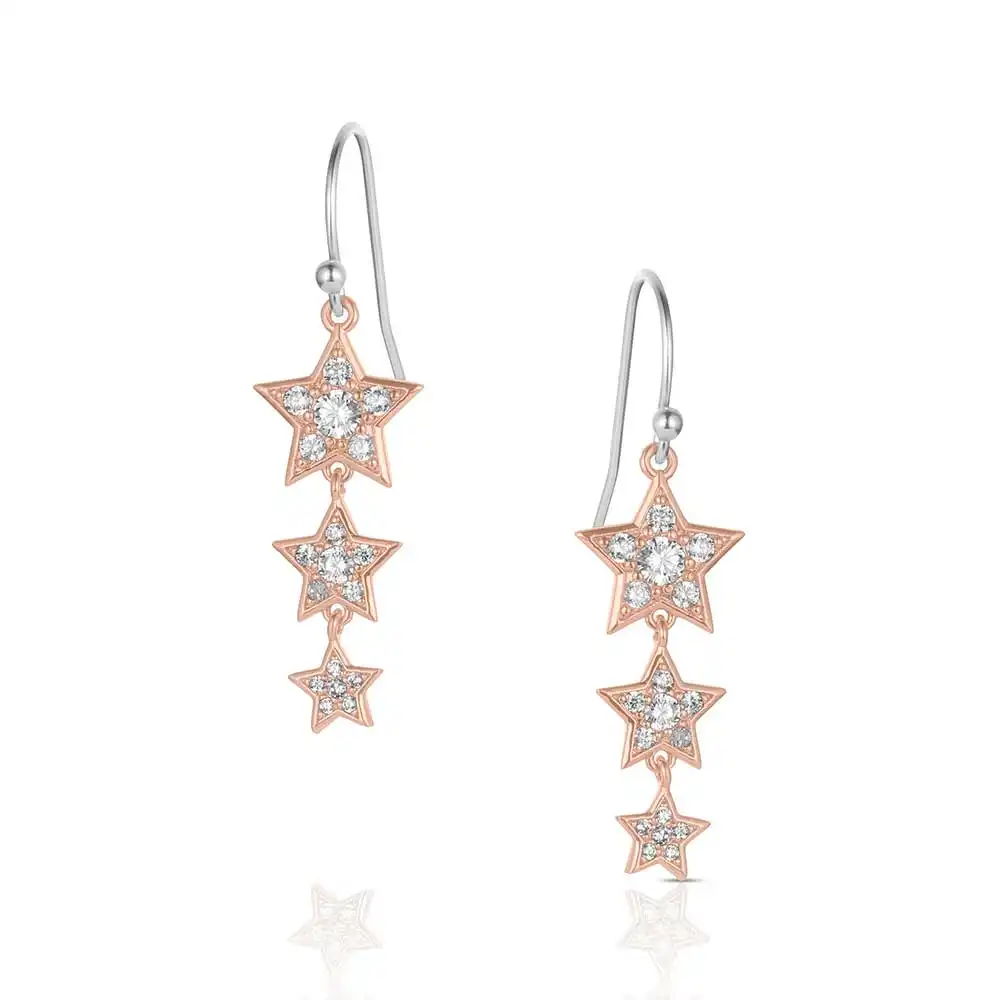montana silversmiths trio of wishes earrings