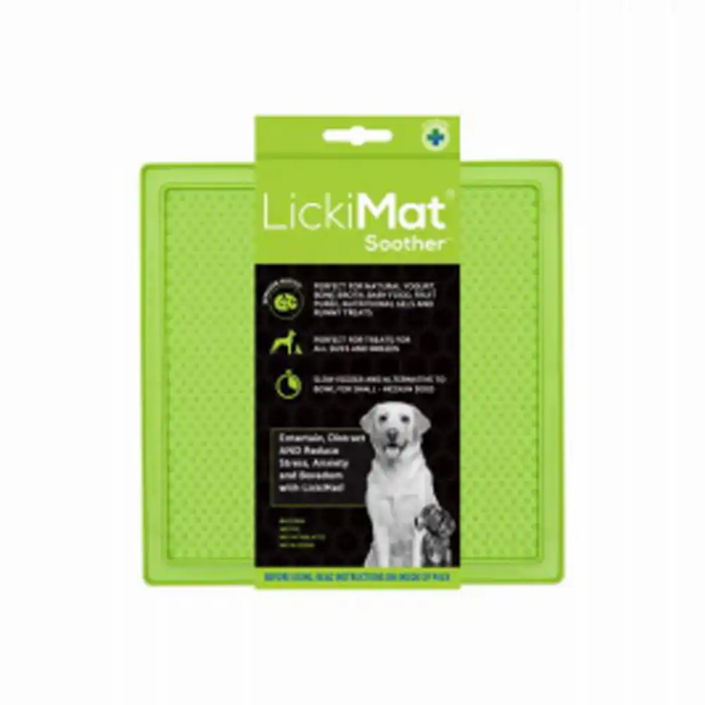 true value dog feeder green