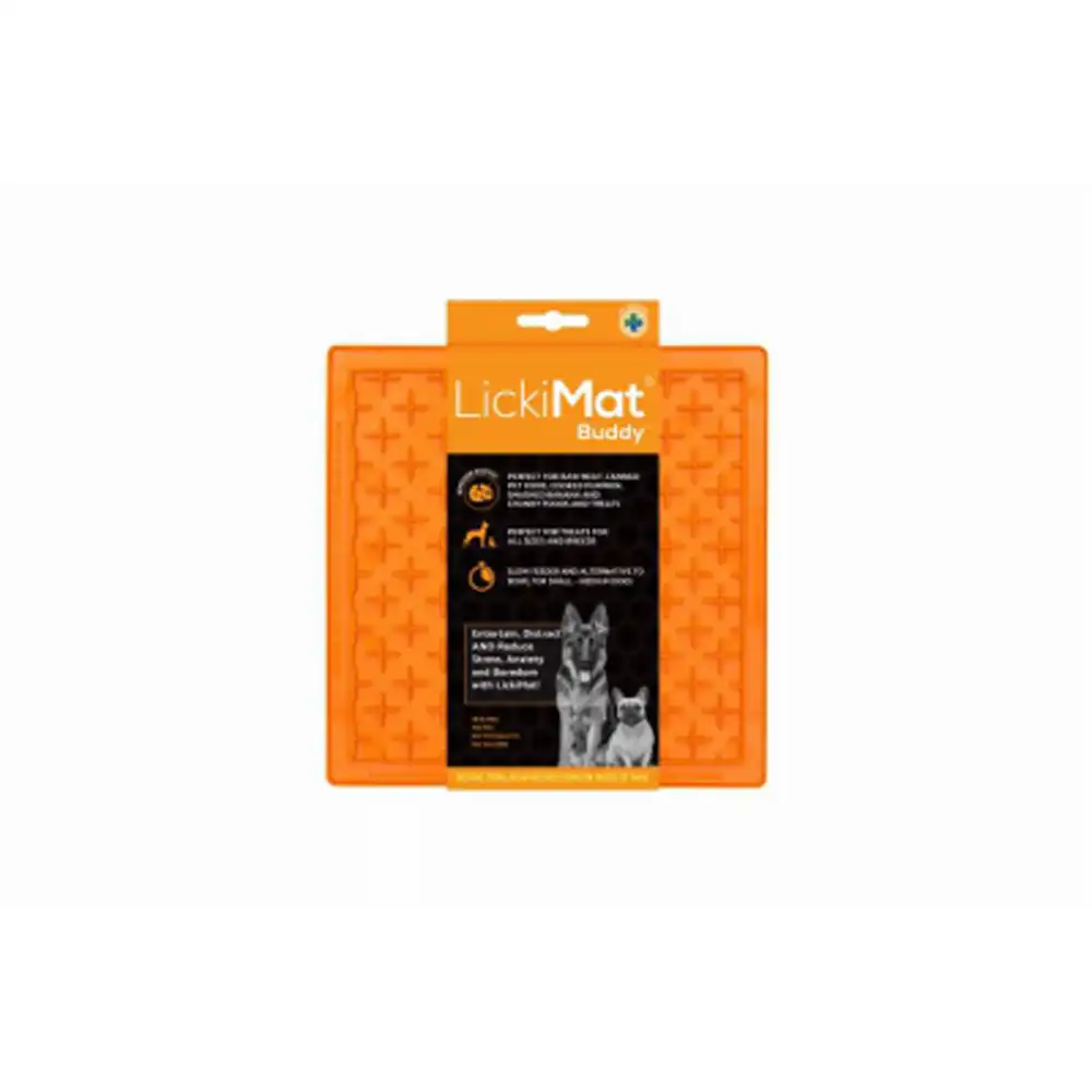 buddy dog bowl orange