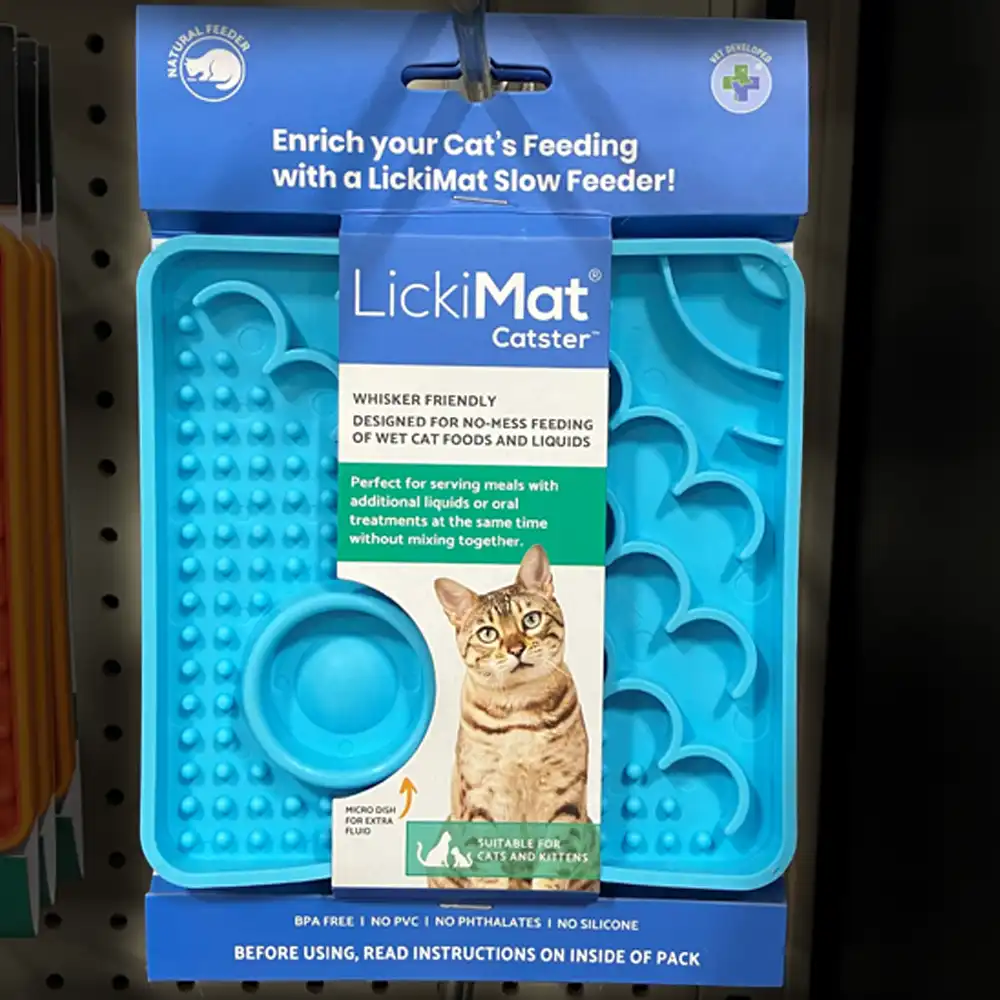 true value turquoise cat dish