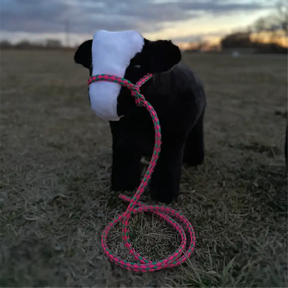 livestock lovies watermelon twist halter