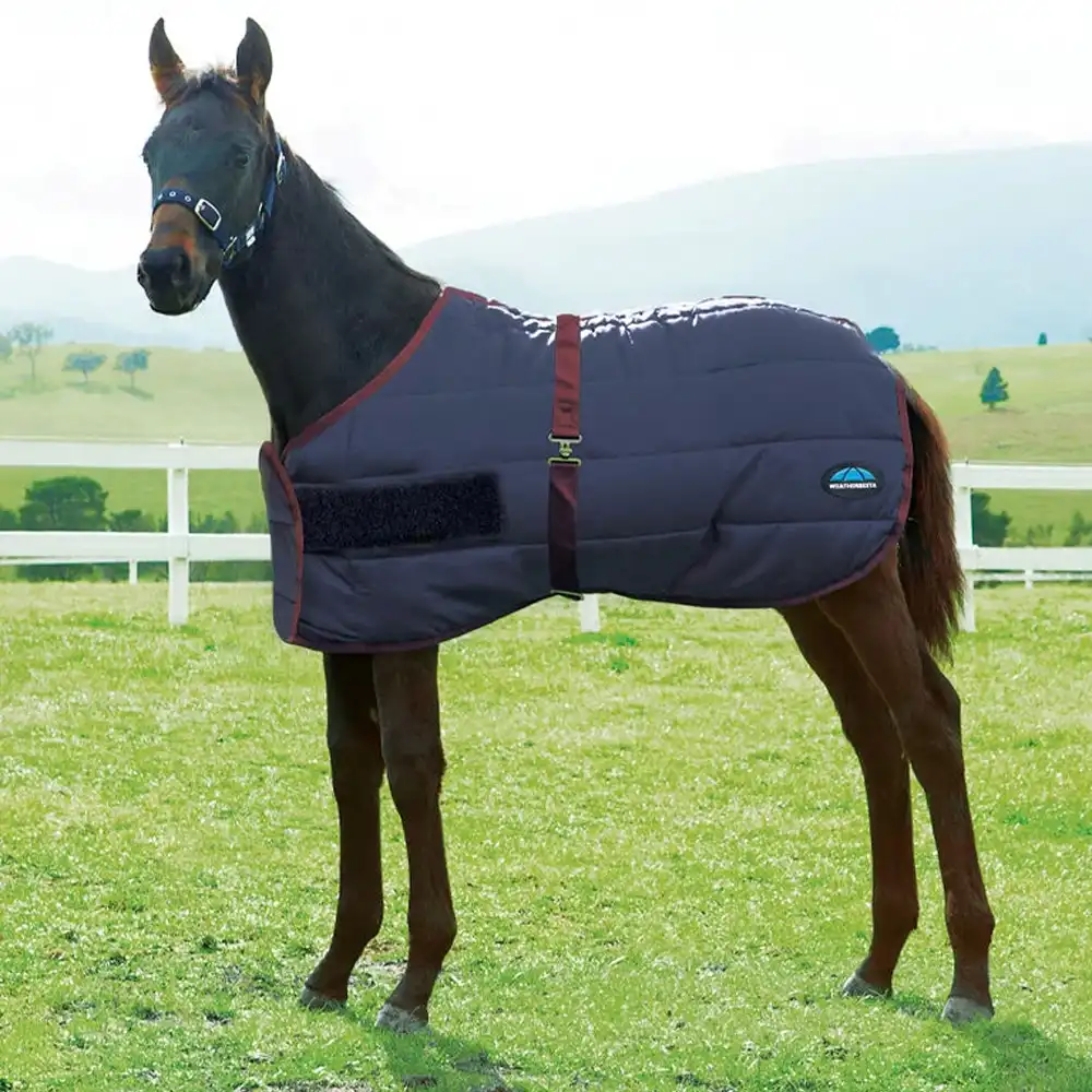 weatherbeeta stable blanket navy and bergundy