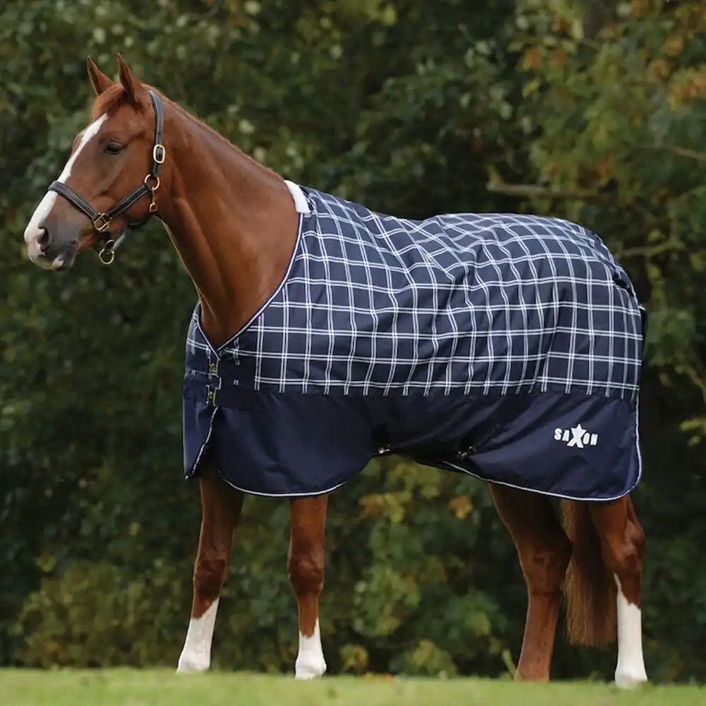 weatherbeeta turnout blanket