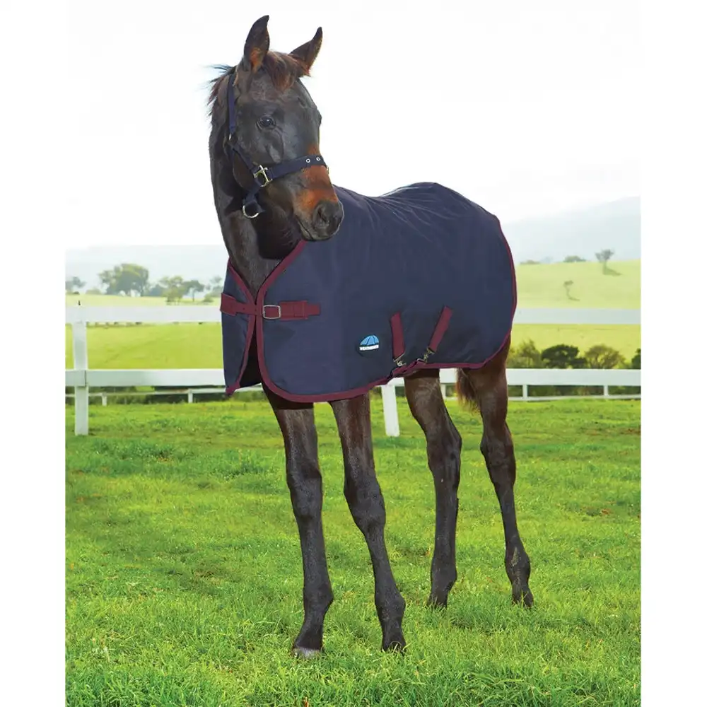 weatherbeeta turnout blanket navy and burgundy