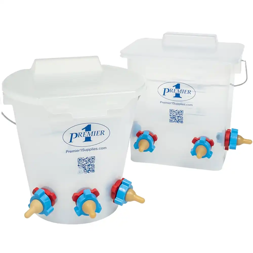 lamb and kid feeding buckets