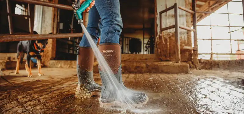 dryshod banner image